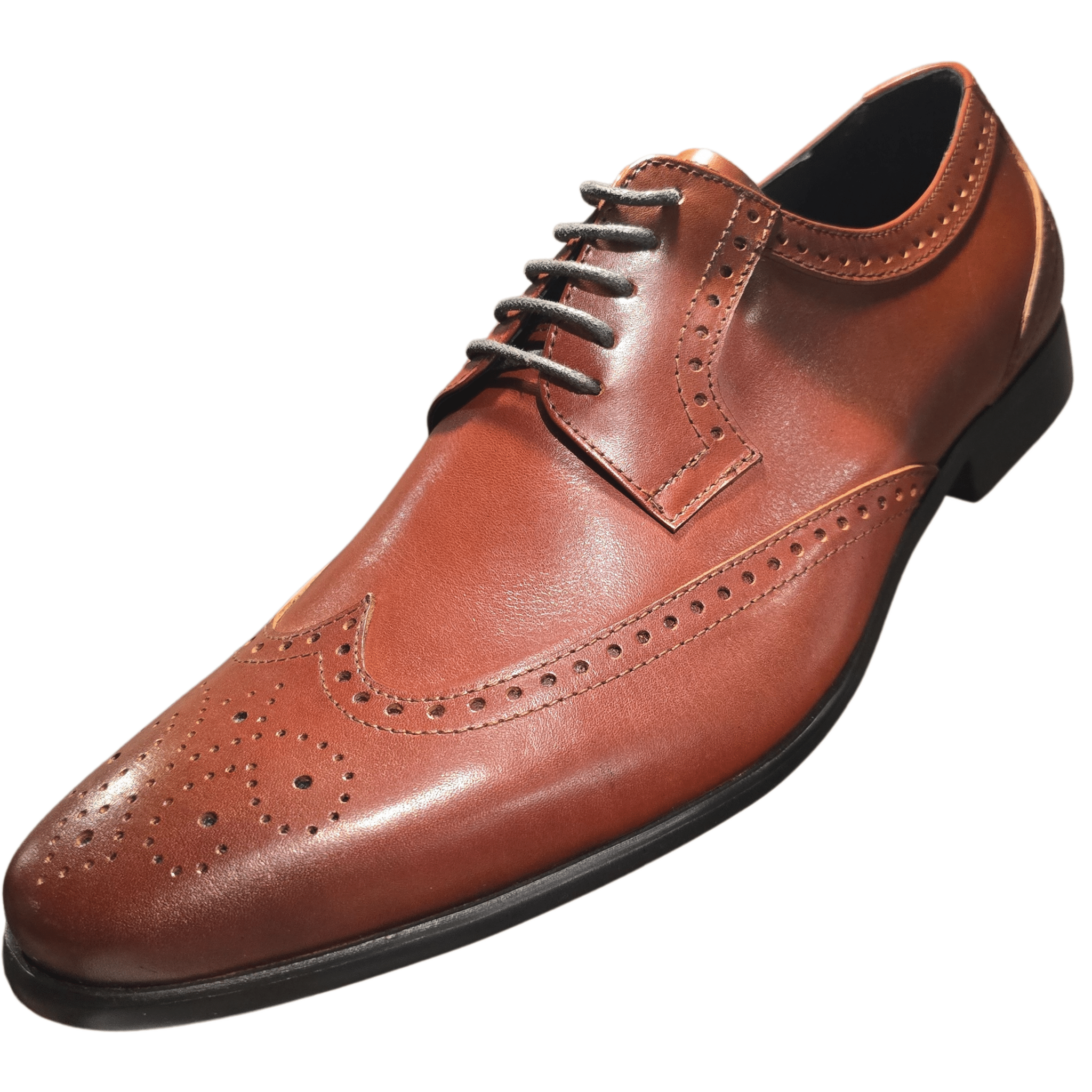 TCF - 19T - Revic - Revic 主圖