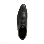 TCF - 79 - Revic - Revic