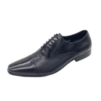 TCF - 79 - Revic - Revic